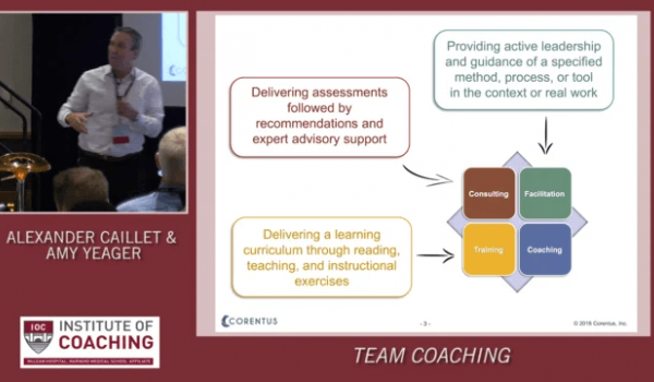 Team Coaching: The Art and Science